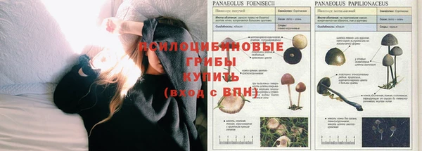 кокаин VHQ Аркадак