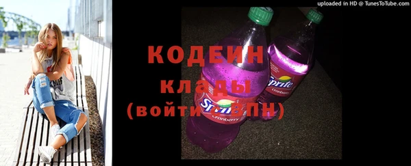 шишки Алексин
