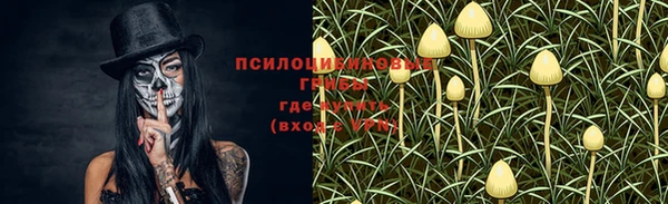 прущий лед Арсеньев