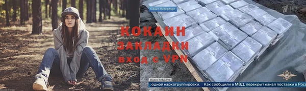 винт Алзамай