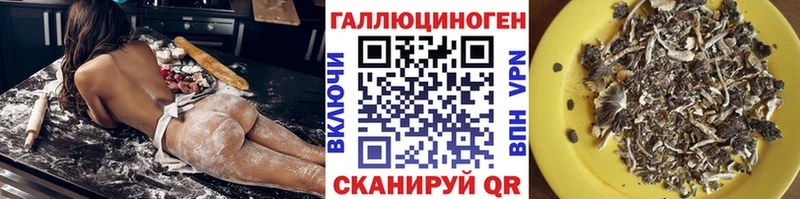 Псилоцибиновые грибы MAGIC MUSHROOMS  Купить закладки  Спасск-Дальний 